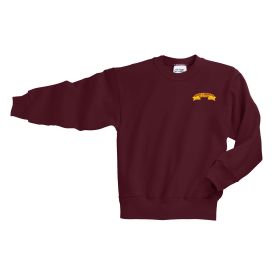 YOUTH Fleece Crewneck Sweatshirt