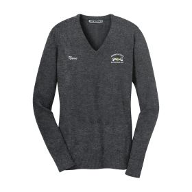 BIOTECHNOLOGY - Ladies' V-Neck Sweater. 